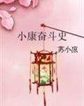 小康奋斗史