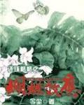 还珠格格之蝴蝶效应