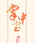 掌中宝