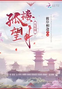 孤楼望月几时圆