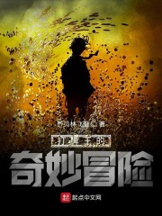 打牌王的奇妙冒险