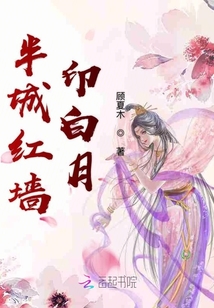 半城红墙印白月