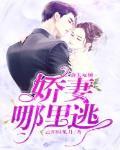 前夫难缠：娇妻哪里逃