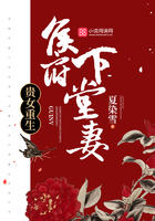 沈清辞娄雪飞