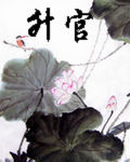 战神回家夏天周婉秋