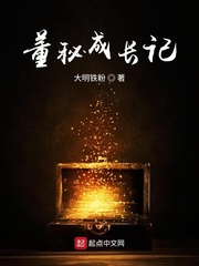 董秘成长记