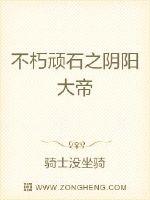 不朽顽石之阴阳大帝