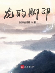 龙的脚印