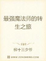 最强魔法师的转生之旅
