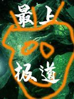 最上极道