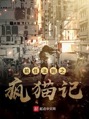 前任法则之疯猫记