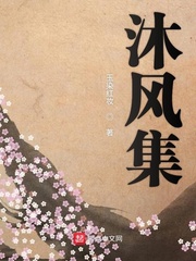 沐风集