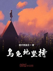 乌龟地坚持