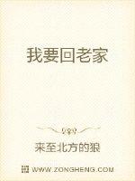 我要回老家