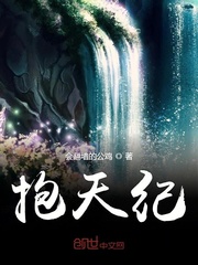 抱天纪