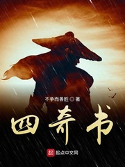 四奇书