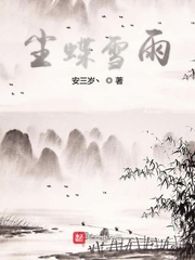 尘蝶雪雨