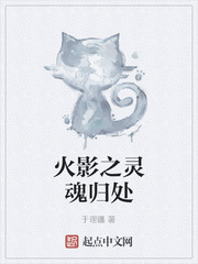 火影之灵魂归处