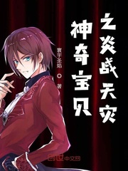 神奇宝贝之炎战天灾
