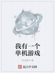 我有一个单机游戏