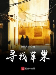 寻找苹果