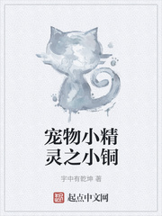 宠物小精灵之小铜