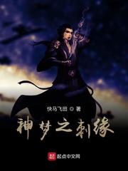 神梦之刺缘