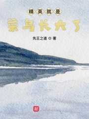 精英就是菜鸟长大了