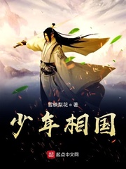 少年相国