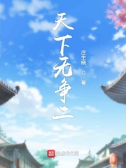 天下无争二