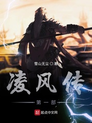 凌风传第一部