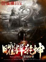 曜辉乾坤