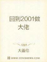 回到2001做大佬