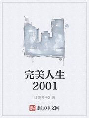 完美人生2001