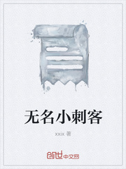 无名小刺客