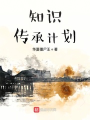 知识传承计划