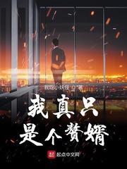 我真只是个赘婿