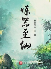炼器至仙