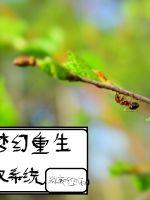 梦幻重生双系统