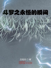 斗罗大陆之永恒的瞬间