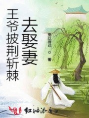 王爷披荆斩棘去娶妻