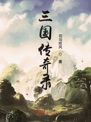 三国传奇录