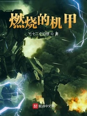 燃烧的机甲