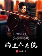 从天而降的逆天系统