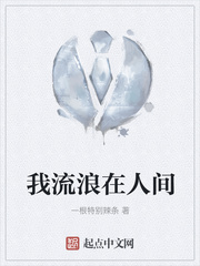 我流浪在人间