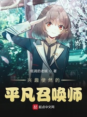 兴趣使然的平凡召唤师