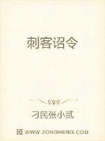 刺客诏令