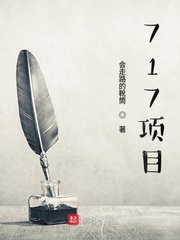 717项目