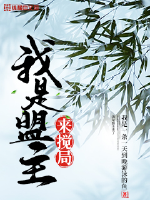 我是盟主来搅局