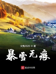 暴雪无痕